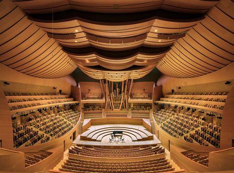 Concert Hall Interior, Statue Of Liberty Facts, Frank Gehry Architecture, Gehry Architecture, Mike Kelley, Theatrical Scenery, Walt Disney Concert Hall, Interior View, Anime Mems