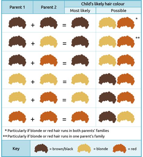 Red Hair Gene, Eye Color Chart Genetics, Eye Color Chart, Blonde Babies, Hair Color Chart, Red To Blonde, Human Hair Color, Different Hair Colors, Tone Hair