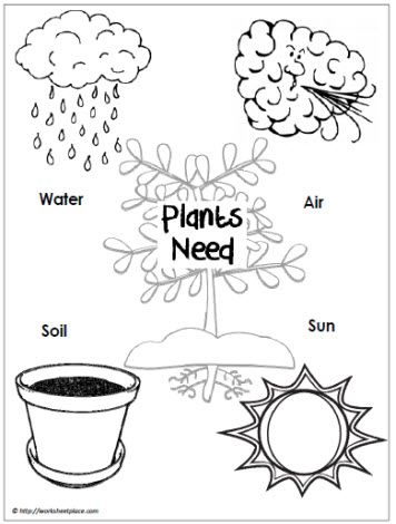 Use a graphic like this to guide a scientific inquiry: do plants really need all of these things? Have a control plant and then deprive plants of each of these to see whether these are needs and discuss why. CJ Plants Kindergarten, Plant Lessons, Plants Worksheets, Preschool Garden, Plants Unit, Plant Activities, Worksheet For Kids, Plant Life Cycle, Spring Preschool