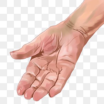 Palm Painting Hand, Palm Illustration, Palm Background, Open Palm, Sweaty Hands, Healthy Book, Banana Palm, Cats Photos, Hand Palm