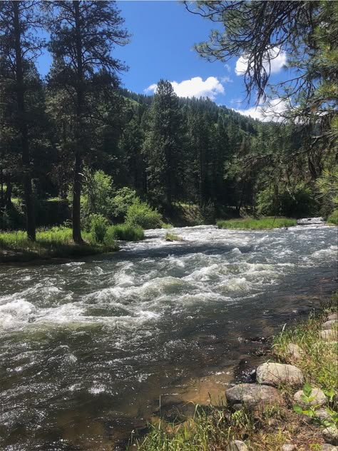 Idaho Aesthetic, Idaho Summer, River Rat, Ruidoso New Mexico, Mountains Aesthetic, Beautiful Places On Earth, Ranch Life, Boise Idaho, Spring Aesthetic