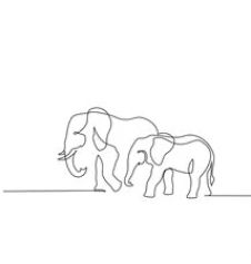 Elephant Line Drawing, One Line Tattoo, Small Girl Tattoos, Elephant Drawing, Elephant Tattoo, Drawing Vector, One Line Drawing, Line Art Tattoos, Elephant Tattoos