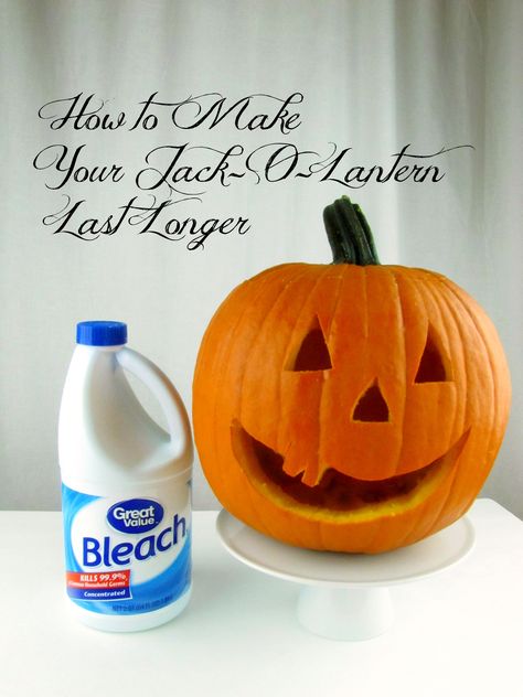 Want to enjoy your decorative pumpkin or jack-o'-lantern throughout the fall season? Try this easy, quick tip to remove bacteria & mold to help your pumpkin stay fresher, longer. Preserving Jack O Lanterns, Halloween Eve, Pumpkin Chili, Halloween And Fall, Halloween Cans, Carved Pumpkin, Fall Stuff, Halloween Crafts Decorations, Halloween Ii