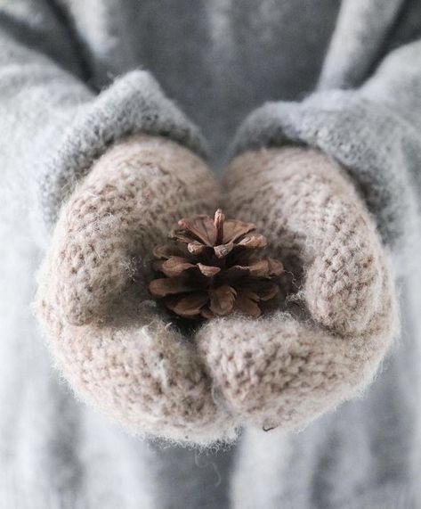 Snow Photoshoot, Winter Family Photos, Christmas Cones, Winter Portraits, Snow Photography, Instagram Autumn, Winter Family, Winter Photoshoot, Photoshoot Idea