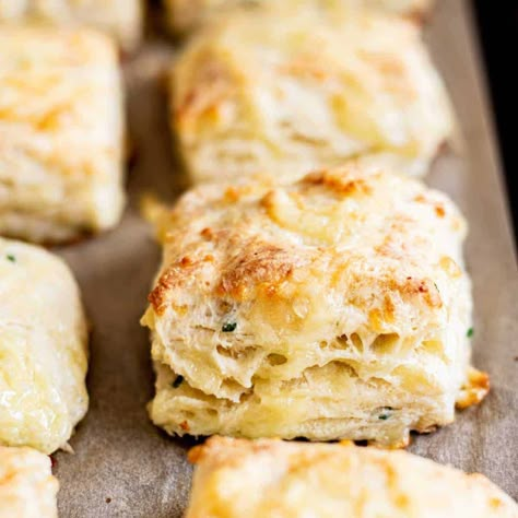 Sourdough Cheese Scones Discard Garlic Bread, Sourdough Discard Garlic Bread, Sourdough Discard Scones, Discard Scones, Discard Sourdough Recipes, Best Sourdough Starter, Best Sourdough Starter Recipe, Cheese Scone Recipes, Sourdough Discard Recipe