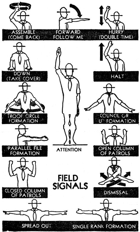 Field Signals Scout Knots, Boy Scouts Eagle, Boy Scouts Merit Badges, Communication Activities, Hiking Staff, Girl Guide, Scout Activities, Scout Camping, Survival Life Hacks