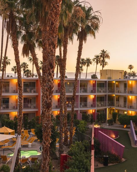 The iconic Saguaro Hotel 🌵🌈🌴✨ #palmsprings #aesthetic #california #travelusa Hotel California Aesthetic, Calabasas California Aesthetic, Hotel California Album Cover, Saguaro Hotel Palm Springs, Saguaro Hotel, Eagles Hotel California, Hotel California, Palm Springs, Travel Usa