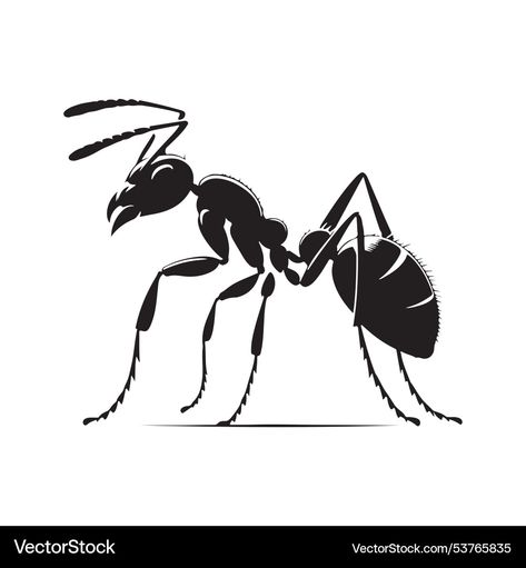 Ants, Vector Design, High Res, Png Images, Adobe Illustrator, Vector Images, Vector Free, Illustrator, High Quality