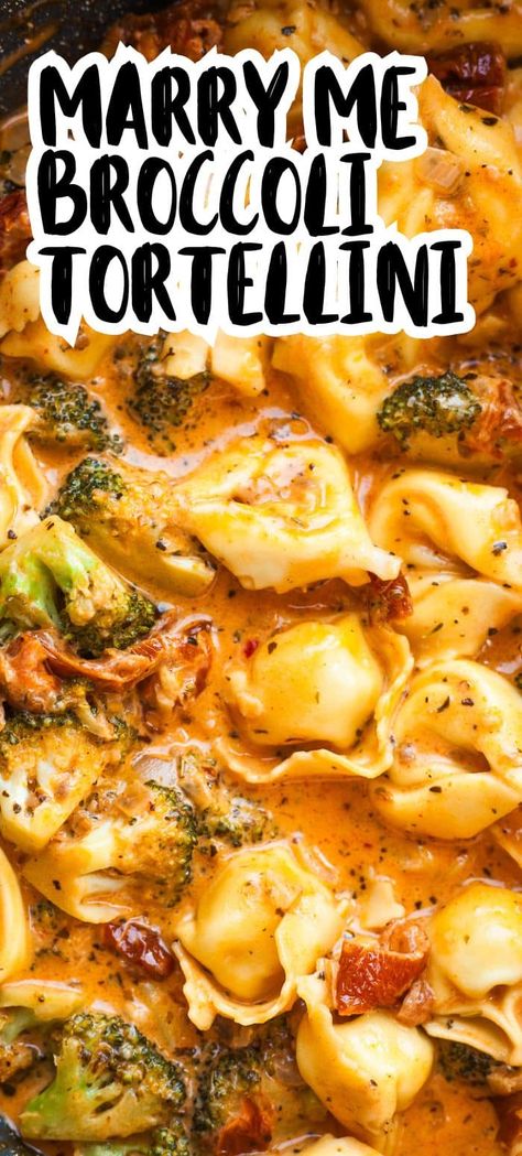 This easy one pot vegetarian meal is a total winner, with cheese tortellini and broccoli in the creamy and flavorful sundried tomato "marry me" sauce that has taken the internet by storm! You will love the simplicity of this recipe and it's an easy win for families. Vegan Tortellini Recipes, Vegetarian Tortellini Recipes, Tortellini Recipes Vegetarian, Cheese Tortellini Recipes Vegetarian, Tortellini Recipes Creamy Tomato, Sundried Tomato Vegetarian Recipes, One Pot Creamy Tomato Tortellini Soup, Creamy Tomato Soup With Tortellini, Creamy Tortellini With Spinach & Tomatoes