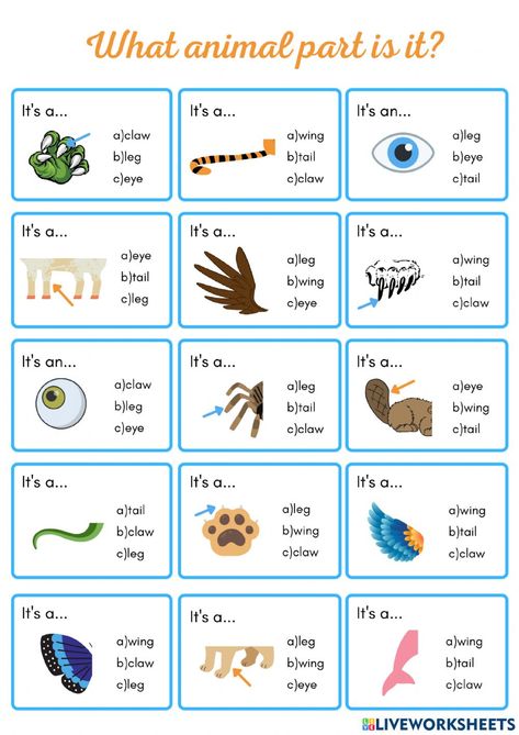 Animal Body Parts Worksheet, Parts Of Animals, Animals Worksheet, School Live, Teaching Cursive, Animal Lessons, Vocabulary Exercises, Animal Body Parts, English Projects