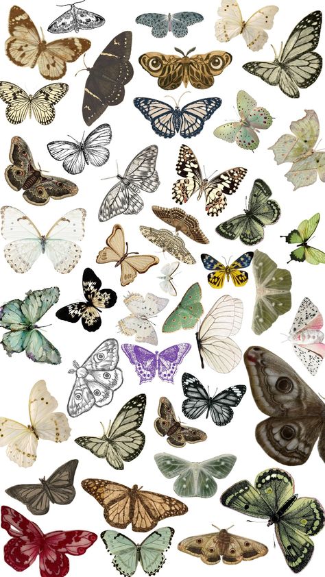 #butterfly #moth #background #insect #bug #collage Moth Background, Bug Collage, Insect Collage, Collage Cutouts, Bullet Journel, Journal Idea, Butterfly Background, Scrapbook Printing, Scrapbook Background