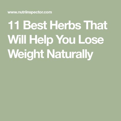 11 Best Herbs That Will Help You Lose Weight Naturally Losing Weight Herbs, Herbs For Weight Management, Become Productive, Food Dehydration, Functional Health, Medicinal Herbs Garden, Herbs Garden, Help Losing Weight, Dehydration