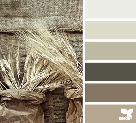 nature tones | design seeds | Bloglovin Seeds Color, Nature Color Palette, Design Seeds, Color My World, World Of Color, Bedroom Colors, Colour Palettes, Color Pallets, Color Swatches