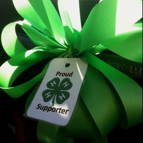 National 4-H week - proud 4-H Supporter ribbons 4h Activities, Ffa Week, 4h Fair, 4 H Clover, 4h Project Ideas, Livestock Showing, 4h Ideas, Volunteer Recognition, Volunteer Appreciation Gifts