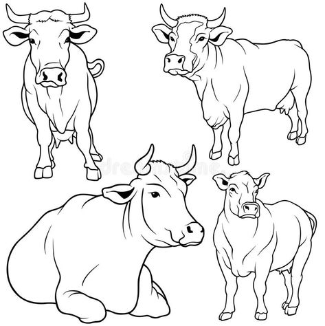 Cow Set stock vector. Illustration of clipart, drawing - 10252283 Cow Coloring Pages, Cow Vector, Cow Illustration, Cow Drawing, Farm Art, Cow Painting, Cow Art, Animal Sketches, Watercolor Animals