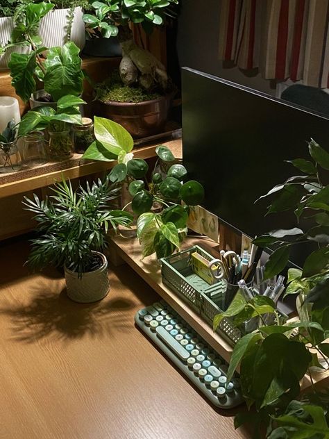 Plant Pc Setup Aesthetic, Framed Computer Monitor, Plant Room Desk, Aesthetic Room Decor Plants, Plant Gamer Room, Plant Desk Aesthetic, Plant Gaming Room, Desk Plants Aesthetic, Plant Pc Setup