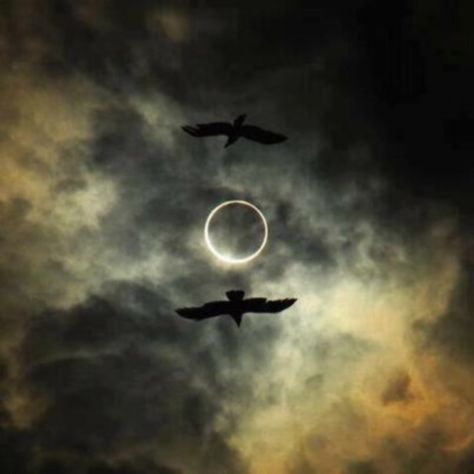 A Witch's Eclipse (1349 CE) On June 30, 1349, there was a total eclipse of the Moon visible in London The worthy Archbishop Bradwardine, tells a story of a witch who was attempting to impose on the simple people of the time. It was a fine summer's night, and the Moon was suddenly eclipsed. 'Make me good amends,' said she, 'for old wrongs, or I will bid the Sun also to withdraw his light from you.' Paul Verlaine, Dramatic Photos, Magical Art, To Infinity And Beyond, Norse Mythology, Solar Eclipse, Rumi, Black Bird, Stars And Moon