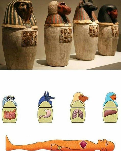 Ancient Egypt Crafts, Ancient Egypt Activities, Ancient Egypt For Kids, Mummification Process, Egypt Activities, Ancient Egypt Projects, Egypt Crafts, Egypt Hieroglyphics, Egypt Mummy