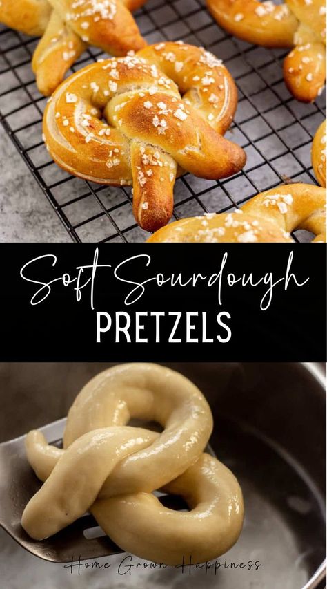 These soft and chewy sourdough pretzels, with their shiny golden surface and coarse salt, are fun to make and delicious to eat! This sourdough soft pretzel recipe with a sourdough starter is very similar to my sourdough bagels recipe and is easy to make at home without a mixer. It uses sourdough starter as the yeast component in the dough and no commercial yeast. The dough undergoes a long cold proof in the refrigerator which adds great flavour as well as texture. Sourdough Soft Pretzel Recipe, Sourdough Bagels Recipe, Sourdough Pretzels, Sourdough Bagels, Soft Pretzel Recipe, Einkorn Flour, Homemade Pretzels, Silicone Baking Sheet, Parmesan Recipes