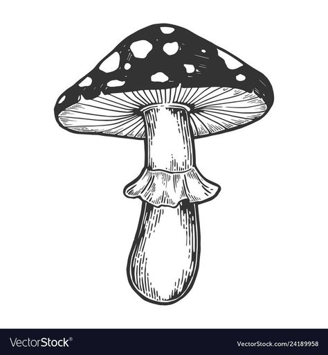 Mushroom Sketch, Amanita Mushroom, Mushroom Plant, Mushroom Tattoos, Mushroom Drawing, Desenho Tattoo, Mushroom Art, Flash Art, White Hand