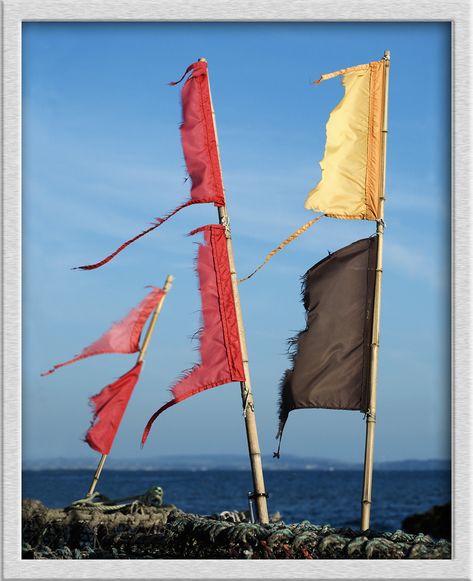 Torn Flags | Just before sailing to Brownsea Island. | Roger Simon 2017 | Flickr Brownsea Island, Sailing Flags, Battle Chess, Tango Art, Boat Flags, Design Moodboard, Year 3, Chess, Tango