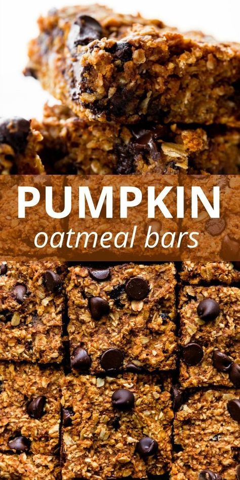 Pumpkin Chocolate Chip Oatmeal Bars, Pumpkin Oatmeal Bars, Chocolate Chip Oatmeal Bars, Oat Chocolate Chip Cookies, Oatmeal Chocolate Chip Bars, No Bake Oatmeal Bars, Pumpkin Recipes Easy, Pumpkin Spice Recipe, Chocolate Chip Bars