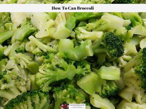 Looking for a recipe for canning broccoli? Here is one for pressure canning broccoli that is simple even for those just learning how to can. Canning Broccoli, Broccoli Balls, Broccoli Slaw Salad, Recipes With Fruit Cocktail, Butter Broccoli, Special Diet Recipes, Recipe Broccoli, Homemade Bbq Sauce Recipe, Home Canning Recipes