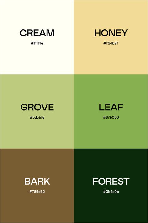 Discover a sophisticated minimalist color palette inspired by organic, earthy elements. These soft cream, honey, and forest-inspired hues create a harmonious blend of neutral and rich tones perfect for professional design projects. With multiple WCAG accessible color combinations, this palette offers versatility for branding, web design, and illustration. Elevate your creative work with precision and intention using the Color Palette Builder tool, which helps designers craft professional, balanced color strategies that communicate your brand's unique visual language. Minimalist Color Palette, Earthy Elements, Cream Honey, Natural Color Palette, Minimalist Color, Professional Branding, Subtle Beauty, Nature Color Palette, Organic Colors