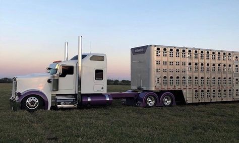 Cattle Trucks, Custom Big Rig, Livestock Trailers, Custom Vehicles, Truck Transport, Amazon Book, Custom Big Rigs, Book Promotion, Broccoli Casserole