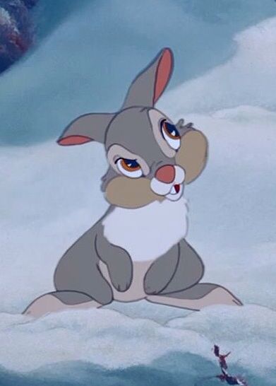 Tambor! <3 Bambi Thumper, Disney Aesthetic, Disney