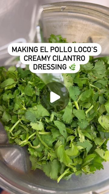 El Pollo Loco on Instagram: "Revealing our Creamy Cilantro Secrets 🌿" Creamy Cilantro Dressing El Pollo Loco, El Pollo Loco Creamy Cilantro Dressing, Pollo Loco Cilantro Dressing, Pollo Loco Salad, Creamy Cilantro Lime Dressing, Creamy Cilantro Dressing, Avocado Ranch Dressing, Cilantro Salsa, Cilantro Lime Sauce