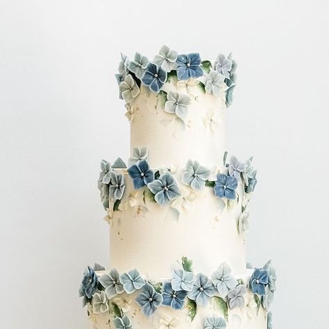 LILA Cake Shop on Instagram: "Hydrangea blossoms in shades of blue for Neesha + Brant 💙✨" Hydrangea Wedding Cake, Wedding Cake Hydrangea, Hydrangea Cake, Two Tier Cake, Wedding Cakes Blue, Blue Hydrangea, Cake Shop, May 27, Tiered Cakes