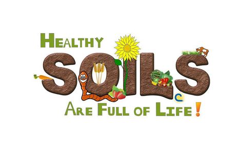 https://flic.kr/p/M2224f | 2017 Healthy Soils Are Full of Life! Conservation Poster Ideas, Soil Art, Conservation Poster, Soil Pollution, Save Soil, Pollution Environment, Slogan Writing, Sustainable Schools, Soil And Water Conservation