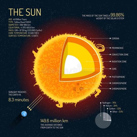 The Sun detailed structure with layers vector illustration. Outer space science concept banner. royalty free illustration Astro Journal, Outer Space Science, Facts About Earth, Spacex Starship, Astronomy Facts, Space Facts, Earth And Space Science, Mind Blowing Facts, Quantum Mechanics