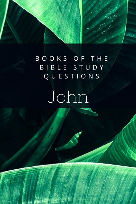 1 John Bible Study Free Printable, John Bible Study Plan, The Book Of John Bible Study, How To Read The Book Of John, John Bible Study Guide, Gospel Of John Bible Study, Bible Study Book Of John, The Book Of John Bible Study Notes, Book Of John Bible Study