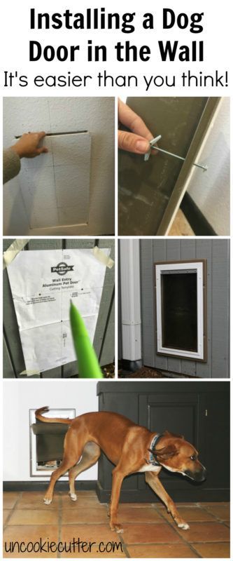 Installing a dog door in the wall may seem intimidating at first, but it turned out to be way easier than I thought! UncookieCutter.com Doggie Door Ideas In Wall, Dog Door In Wall, Diy Dog Door, Diy Doggie Door, Dog Station, Doggy Door, Dog Things, Pet Door, Dog Rooms