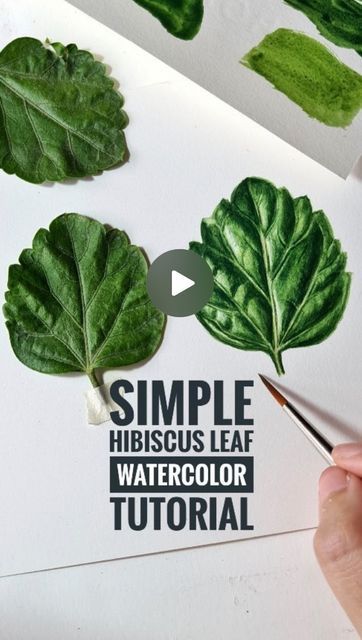 🖌WATERCOLOR BLOG#1🖌 on Instagram: "Do you like this tutorial? Helpful? Write YES/NO below👇 Artist @artbyavantika Dm us to be featured. #watercolor #tutorial #leaf #botanical #botanicalart #botanicalwatercolor #illustration #watercolorflowers" Botanical Illustration Tutorial, Botanical Watercolor Painting, Simple Watercolor Flowers, Hibiscus Leaves, Watercolor Blog, Watercolor Flowers Tutorial, Watercolor Tutorial, Watercolor Video, Leaf Illustration