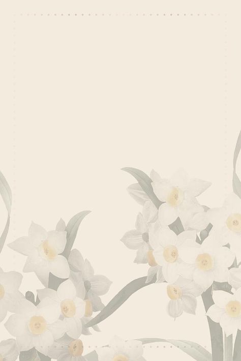 Beige background, Easter daffodil illustration | premium image by rawpixel.com / Kappy Cream Background Aesthetic, Daffodil Illustration, Backgrounds White, White And Beige, Background Aesthetic, Creative Background, Awesome Designs, Logo Creation, Photoshop Backgrounds