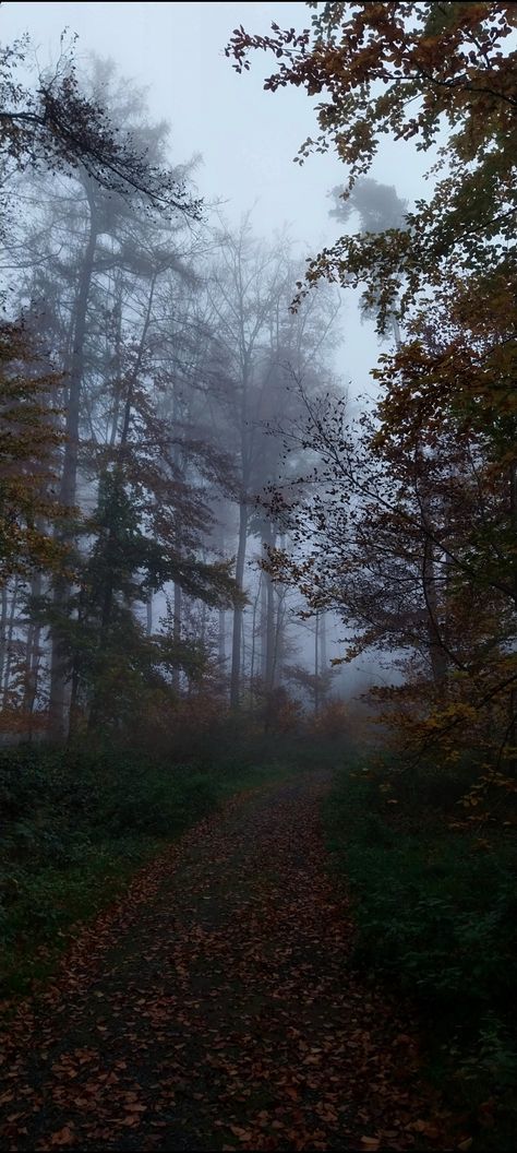 Southern Appalachia Aesthetic, Appalachia Aesthetic Dark, Appalachian Mountains Creepy, Appalachian Mountains Aesthetic, Dark Appalachia, Appalachian Gothic Aesthetic, Dark Cozy Aesthetic, Appalachia Aesthetic, Appalachian Gothic