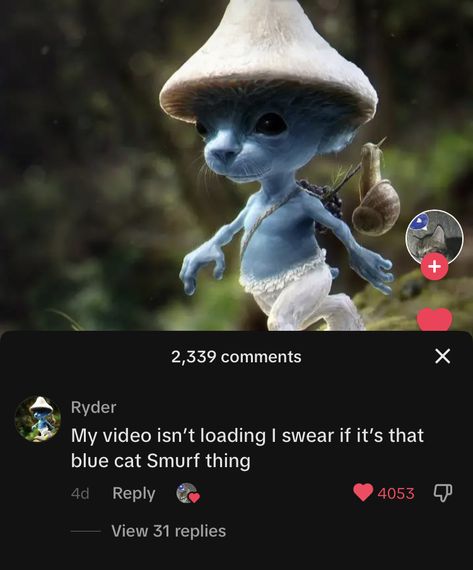 We Live We Love We Lie Cat Smurf, We Live We Love We Lie, Whatsapp Wallpapers Hd, Silly Cats Pictures, Silly Images, Fb Memes, Silly Cats, Funny Me, Funny Pins