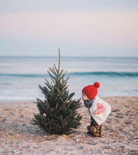 Florida Christmas Photoshoot, Christmas Photos On Beach, Christmas Beach Family Photo Ideas, Beach Xmas Photos, Christmas Photo Beach, Christmas Pictures At The Beach, Florida Christmas Pictures, Beach Family Christmas Photos, Christmas Family Beach Photos