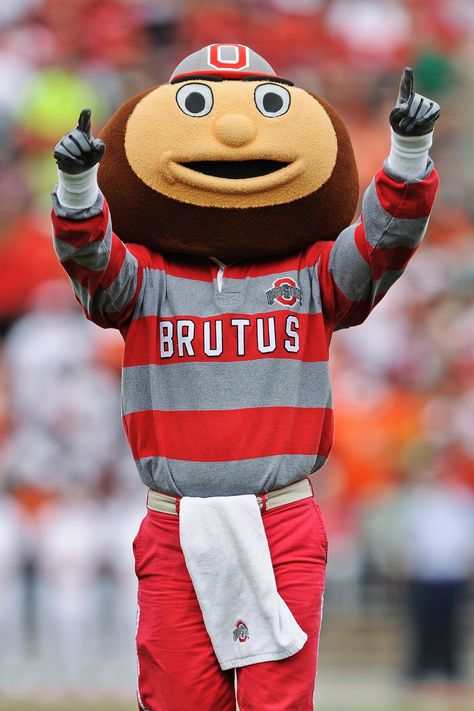 COLUMBUS, OH - SEPTEMBER 11: Mascot Brutus Buckeye fires up the crowd before a game against the Miami Hurricanes at Ohio Stadium on September 11, 2010 in Columbus, Ohio. (Photo by Jamie Sabau/Getty Images) Ohio State Wallpaper, Osu Buckeyes Football, Ohio State Basketball, Brutus Buckeye, College Basketball Game, Ohio Stadium, Brown Dachshund, Ohio State Buckeyes Football, Osu Buckeyes