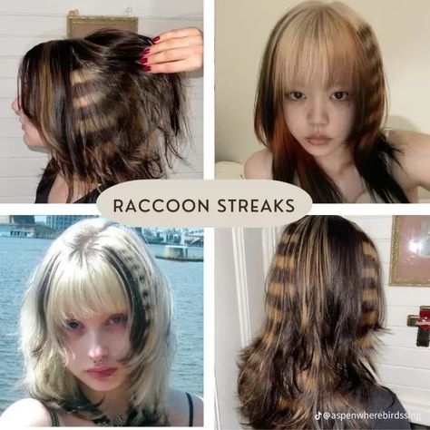 Racoon Stripes Hair, Racoon Tail Hair, Racoon Hair, Calico Hair, Hair Stripes, Funky Hair, Short Hair Tomboy, Cherry Hair, Hair Inspiration Long