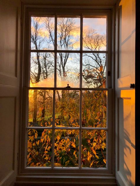 #autumn #window #last #leaves Autumn Window Aesthetic, English Autumn Aesthetic, Light Autumn Aesthetic, Fall Academia Aesthetic, Fall Morning Aesthetic, Cosy Autumn Aesthetic, Whimsigoth Autumn, Foliage Aesthetic, Autumn Aesthetic Photography