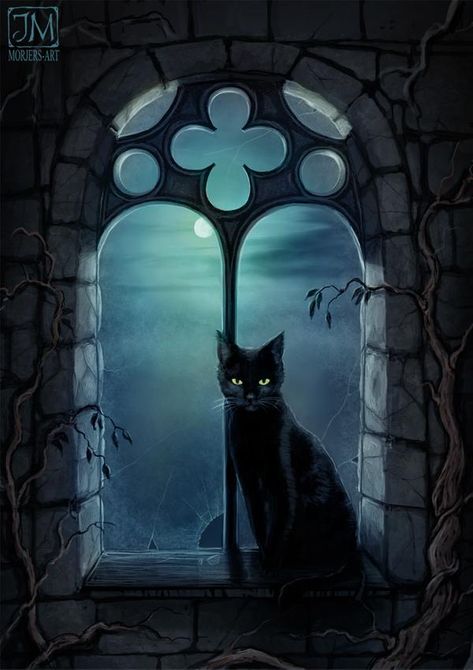 Gatos Cool, Black Cat Art, Witch Cat, A Black Cat, Witch Art, Black Cat Halloween, Gothic Art, Cat Drawing, Halloween Cat