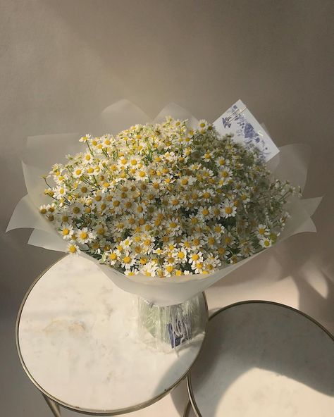 Daisy Bouquet, Boquette Flowers, Nothing But Flowers, Flowers Bouquet Gift, Flower Therapy, Beautiful Bouquet Of Flowers, Beautiful Flower Arrangements, Chamomile Flowers, Flower Lover