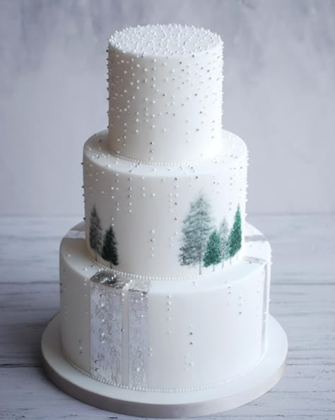 Wedding Ideas For Winter, Sylvester Party, Winter Wedding Cakes, Christmas Wedding Themes, Winter Wonderland Cake, Christmas Wedding Cakes, Christmas Cake Designs, Winter Wedding Cake, Winter Cake