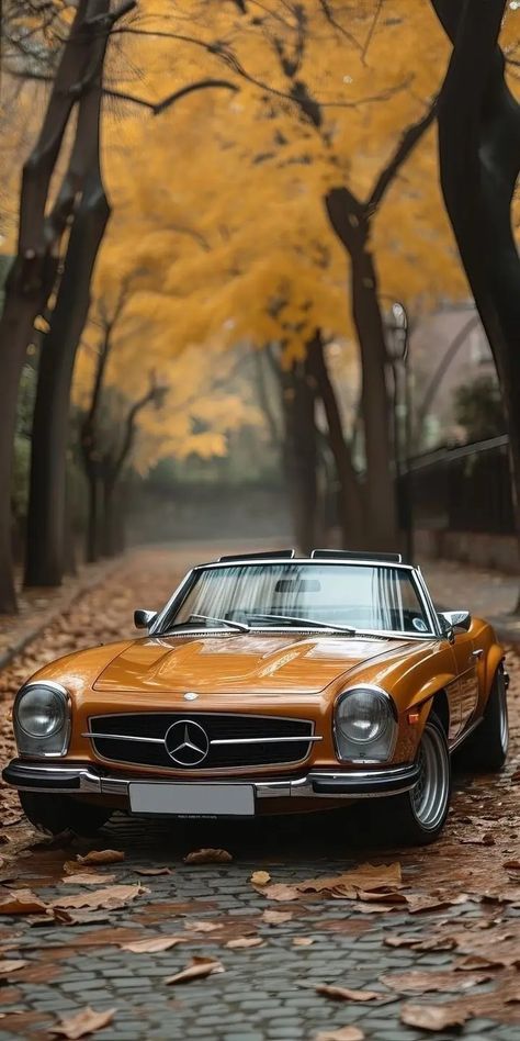 Bicycle Wallpaper, Funny Lock Screen Wallpaper, Cars Pictures, Car Iphone Wallpaper, Mercedes Wallpaper, Attractive Wallpapers, Old Mercedes, Xiaomi Wallpapers, Cat Profile