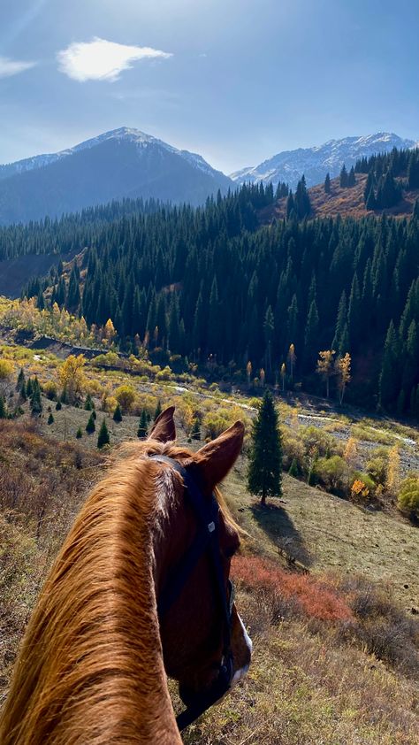 Horse Riding Aesthetic, Pictures With Horses, Colorado Ranch, Mountain Aesthetic, Colorado Summer, California Vibe, Horse Aesthetic, Mountain Travel, Colorado Travel