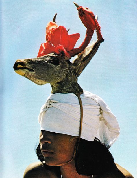 Jawsomejaba: Yaqui Easter Ceremony, Sonora, Mexico. Photo by... Mayan Art, Native American Photos, Mexican Culture, Weird Animals, First Nations, Native American, Art Reference, Portrait Photography, A Woman